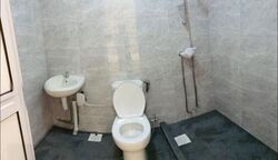 Blk 288 Bishan Street 24 (Bishan), HDB 4 Rooms #612490301